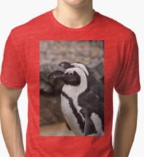 Banded Penguin Tri-blend T-Shirt