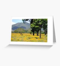 Hello Yellow Greeting Card