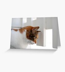 On the Deck Greeting Card