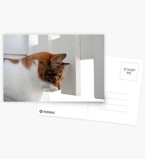 On the Deck Postcards