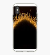 Nature Photography | Cactus and Sunset iPhone Case