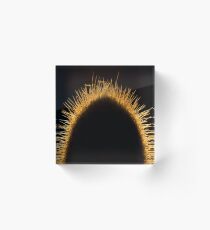 Nature Photography | Cactus and Sunset Acrylic Block