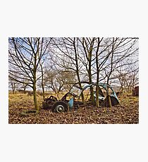 Last one standing Photographic Print