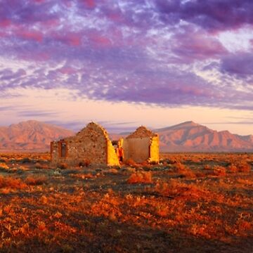 Artwork thumbnail, Settler's Ruin, Flinders Ranges, South Australia by Chockstone