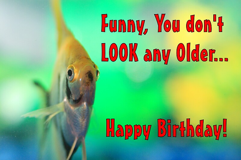 "Fish says Happy Birthday" by Brian Dodd Redbubble