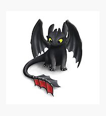 Toothless, Night Fury Inspired Dragon. Photographic Print
