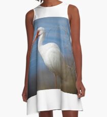 Ibis Portrait A-Line Dress