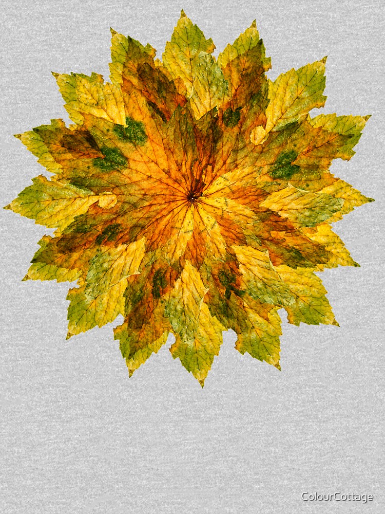 Maple leaf 1 by ColourCottage