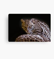 Ocelot Canvas Print