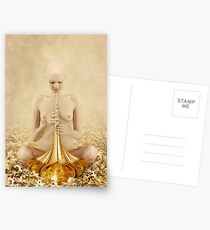 Insight Postcards