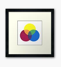 Colour Wheel Framed Print