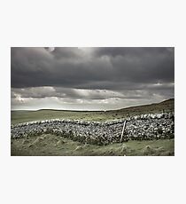 Stone wall on british countryside Photographic Print