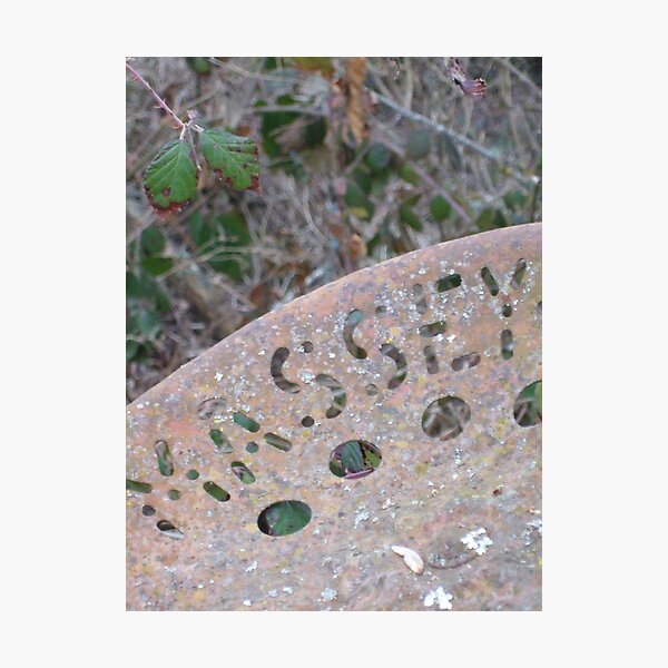 Massey tractor seat Photographic Print