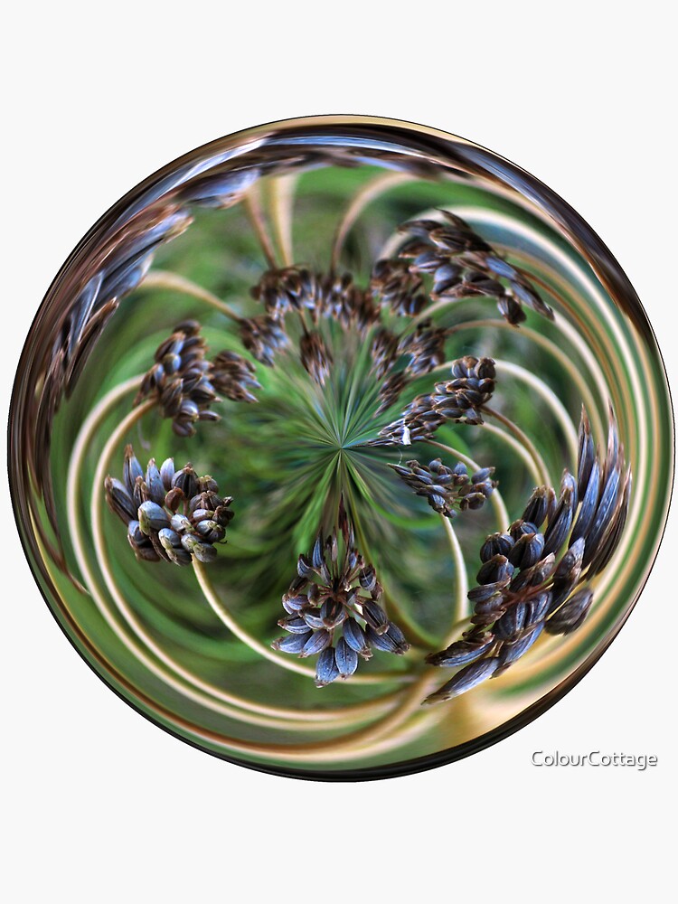 Orb 1 by ColourCottage
