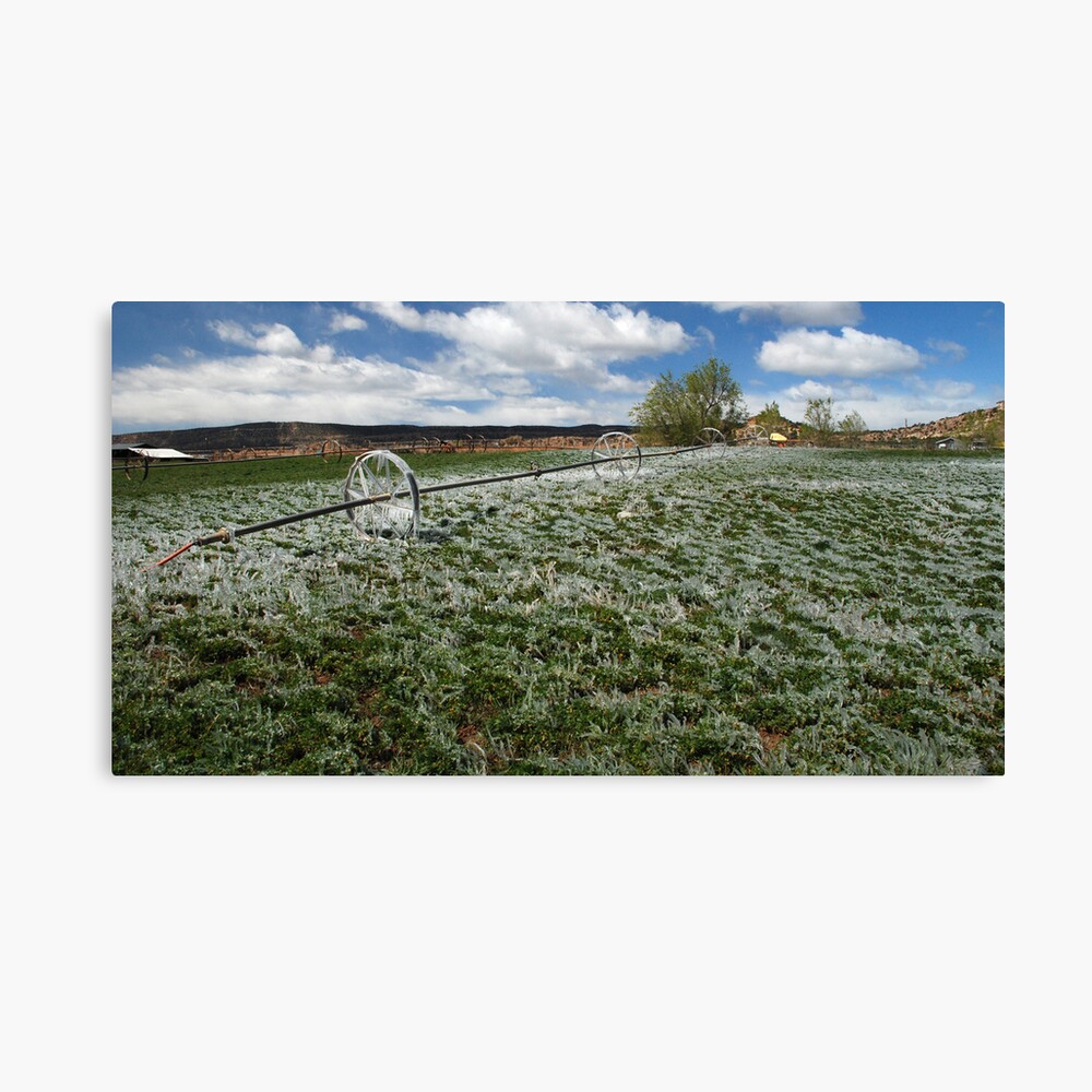Spring green and white Canvas Print