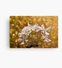 Spring Bloom Canvas Print