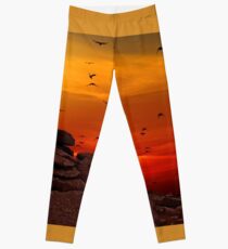 Birds Leggings