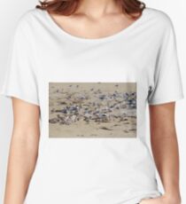 Greater Crested Tern Colony Women's Relaxed Fit T-Shirt