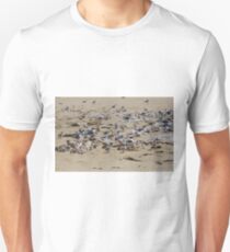 Greater Crested Tern Colony Unisex T-Shirt