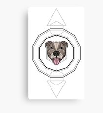 Staffy - Colour Canvas Print