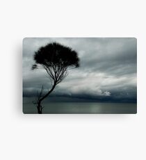 stormfront Canvas Print