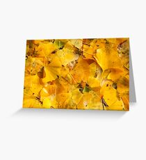 Ginkgo biloba leaves Greeting Card