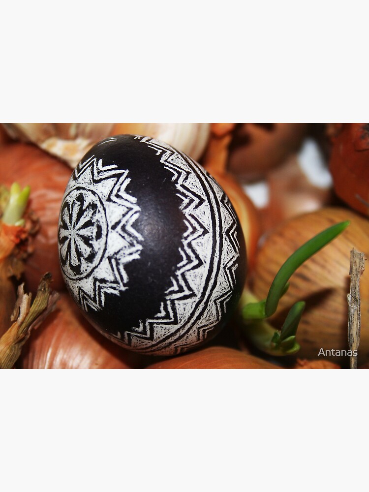 Easter Egg by Antanas