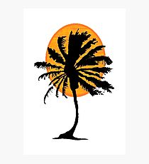 Windy Palm Photographic Print