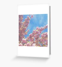 Cherry Blossom + Sky Greeting Card