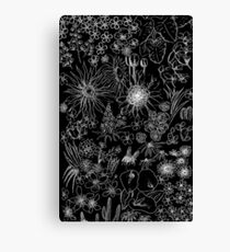 Assortment of Flowers - Inverted Canvas Print