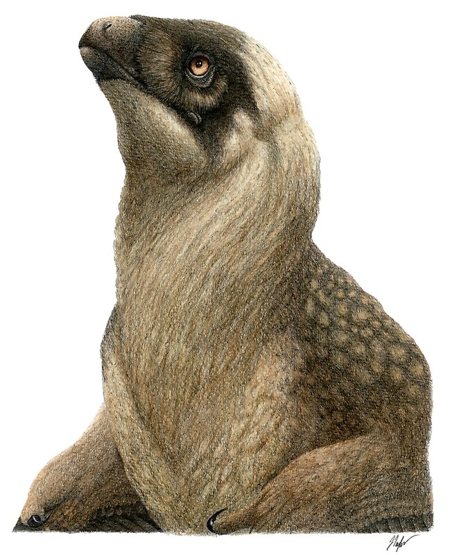 Changu Raptor