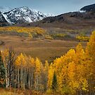 Colorado Autumn by John  De Bord Photography