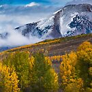 Just A Dusting II by John  De Bord Photography