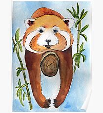Roter Panda auf Baum Poster