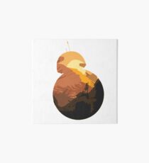 bb-8 Rey Art Board
