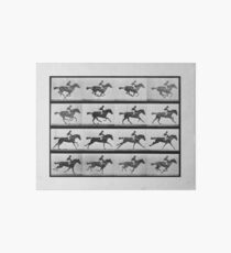 Animal Locomotion - 16 Frames Of Racehorse Annie G. Art Board