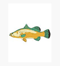 Australian Barramundi is the Best! Photographic Print
