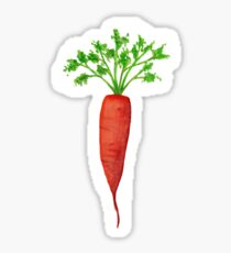 Carrot Sticker