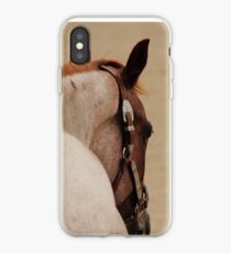 Roan Quarter Horse iPhone Case