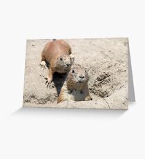 two prairie dogs watching from hole Greeting Card