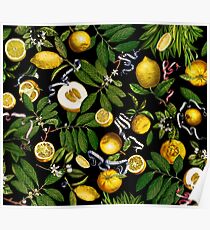 Lemon Tree - Black Poster