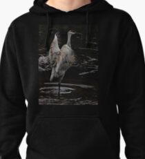 The Crane Ballet #2 Pullover Hoodie