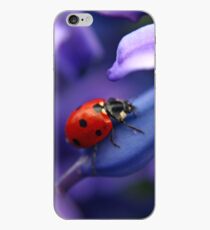 Coccinellidae iPhone Case