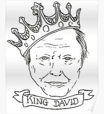 David Attenborough Poster