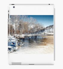 Winter In The Park - Infrared iPad Case/Skin