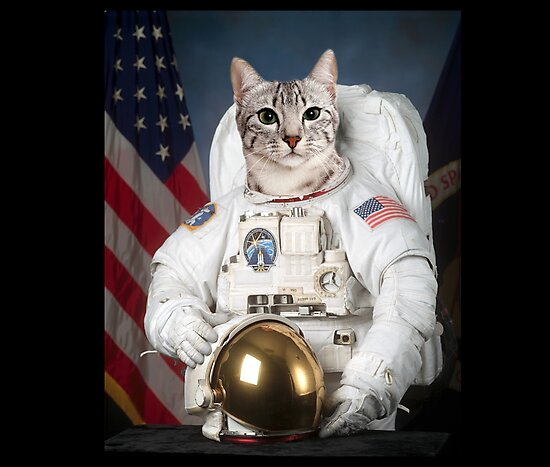 astronaut cat squishmallow