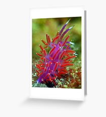 NUDI Greeting Card