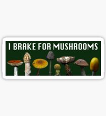 I Brake for Mushrooms - Bumper Sticker Sticker
