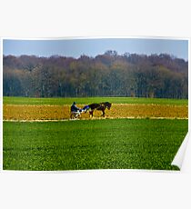Countryside Poster