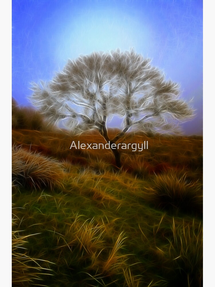 Tree du Fractalius by Alexanderargyll